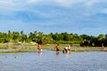 Poor Filipinos children collect mollusks and crustaceans for sale and for dinner Royalty Free Stock Photo